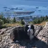 kellyeckstein - @kellyeckstein - TikTok