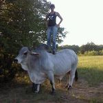 Kelly Eggers - @kelly.eggers.58 - Instagram
