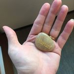 Megan Kelly Ellinger - @dcdogmom - Instagram