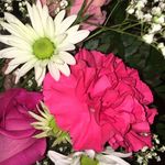 Kelly Faherty - @bold.brave.beautifulyou - Instagram
