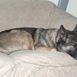 Kelly Fallon - @kellyfallon71 - Instagram