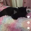 Kelly Fenwick - @kelly.fenwick - TikTok