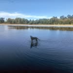 Kelly Fenwick - @fenwicks27 - Instagram