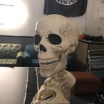 Skelly Fifield - @skellymcfifield - Instagram