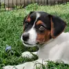 ReikiWithKelly - @kelly.flack - TikTok
