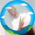 Kelly Friday - Facebook