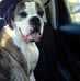 Kelly Fultz - Facebook