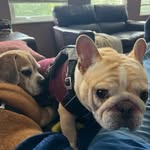 Kelly Gingras - @kelly.gingras - Instagram