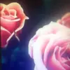 Gowerkelly - @gowerkelly - TikTok