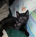 Kelly Grable - Facebook