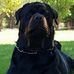 Kelly Grainger - Facebook
