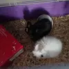 kellygrainger249 - @kellygrainger249 - TikTok