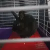 kellygrainger433 - @kellygrainger433 - TikTok
