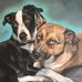 Kelly Marchetti Grasso - Facebook