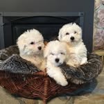Kelly Hack - @kelly_g_hack - Instagram