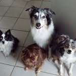 Kelly Hackman - @kellys_a_brat - Instagram