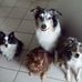 Kelly Hackman - Facebook