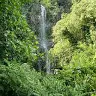 Kelli Halbert - @kellihalbert - TikTok