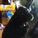 Kelly Herb - Facebook