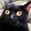 Kelly Herbst - @kellyherbst_2155 - TikTok