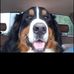 Kelly Herr - Facebook
