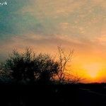 Kelly Holbert - @kelly_holbert_974 - Instagram
