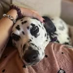 Kelly Kennett - @kelly_kennett_ - Instagram