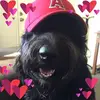 Kelly Kennett - @kellykennett6 - TikTok
