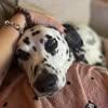 kellykennett - @kelly.kennett - TikTok