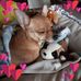 Kelly Kiger - Facebook