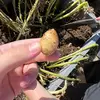 Klem - @kelly.klem - TikTok