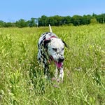 Kelly Kluck - @k_kluck22 - Instagram