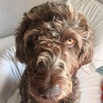 Kelly Riordan Klug - @cocos___stories - Instagram