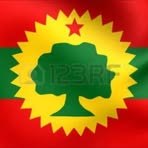 Qali Qafar - Facebook