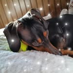 Kelly Kulas - @hildak41966 - Instagram