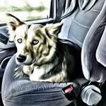 Kelly Labbe - @ksl6566 - Instagram