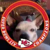 Kcbirdie - @kellyladuke3 - TikTok