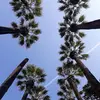 kelly_lamp - @kelly_lamp - TikTok