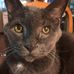 Kelly Lander - Facebook