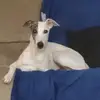 Kelly Lanham - @kelly.lanham - TikTok