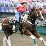 Kelly Lanham - @horserunfarms - Instagram