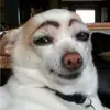 Kelly Laughter305 - @nevercallmemfifi - TikTok