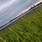 Weastly - @kellys_laughter - Instagram