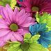 Kelly Leeper - Facebook