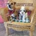 Kelly Lenard - Facebook
