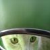 Kelly Linscott - Facebook