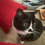 Kelly Lowery - @kellylowery995 - Instagram
