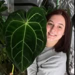 Kelly’s collection - @kellylynn.plants - Instagram