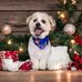 Kelly Machen - Facebook