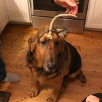 Kelly MacMillan - @corkscrew08 - Instagram